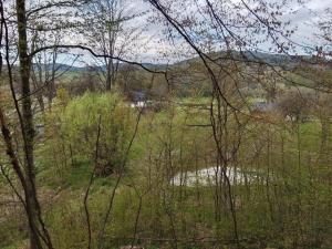 Domek na wzgórzu WYDRA - JACUZZI i SAUNA