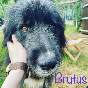 POLOVRAGA - casă la țară cu ciubăr