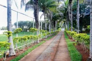 CHÁCARA INRIBAS - Santo Antônio do Capoeirão