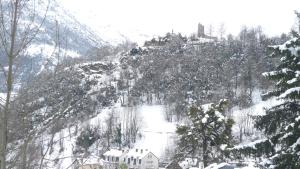 Appartements Residence Perce Neige : photos des chambres