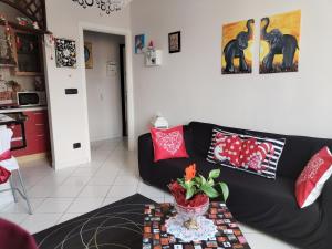 Nido delle meraviglie