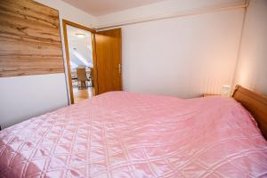 Apartment Rimljanček