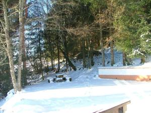 Maisons de vacances Maison d'altitude avec vue panoramique a Gerardmer : photos des chambres