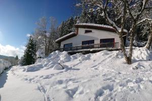 Maisons de vacances Maison d'altitude avec vue panoramique a Gerardmer : photos des chambres