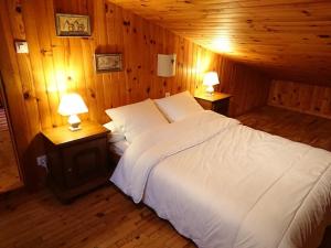 Maisons de vacances Maison d'altitude avec vue panoramique a Gerardmer : photos des chambres