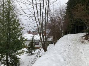 Maisons de vacances Maison d'altitude avec vue panoramique a Gerardmer : photos des chambres