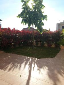 Casa Loutsiano