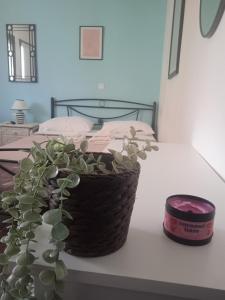 Ag.apostoloi studios