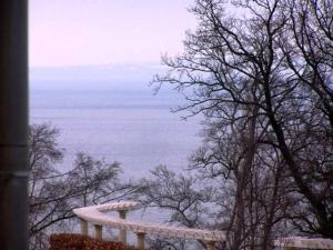 Villa Bergfrieden - Ferienwohnung 45426