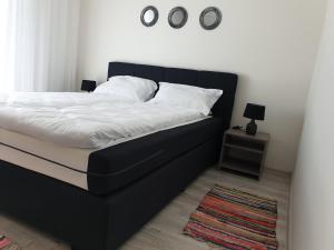 ORI Modern Apart Malul Muresului , Arad