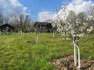 POLOVRAGA - casă la țară cu ciubăr
