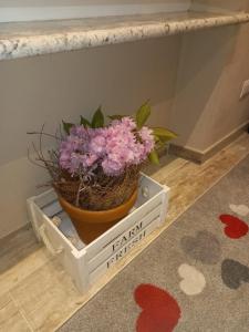 Antico Vicolo - Appartamento Rebecca