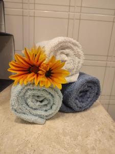 Sogno sul mare img32