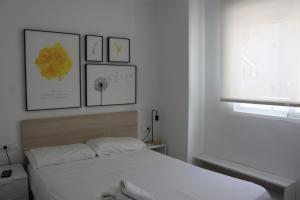 Flamingo Solo Familias Serviplaya