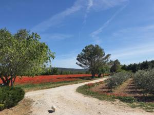 Maisons de vacances La petite Galejade : photos des chambres