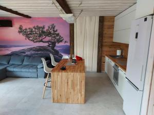 Kopa Jura apartment on the beach