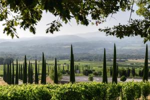 Hotels Coquillade Provence : photos des chambres