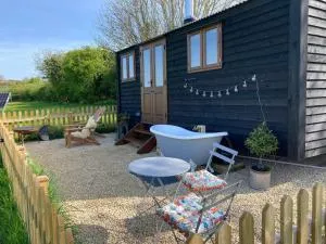 Marsh Farm Glamping Shepherd Hut - Pitney