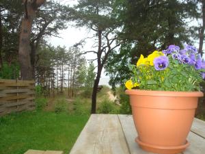 Singing sands Apartment in Saulkrasti