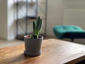 modernzentralNetflixArbeitsplatz