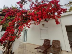 Stamatias Home, fully equipped cottage 5 minutes from the sea