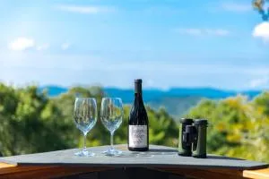 Sugar Mountain Escape - ينفيل