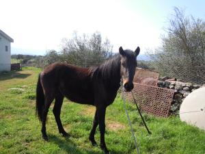 Agriturismo Pira Pinta img77