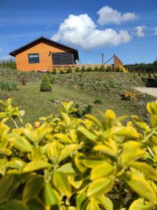 Roztocze, Domek Na Leśnym Wzgórzu nr2,Krasnobród,Zamość, Zwierzyniec, jacuzzi