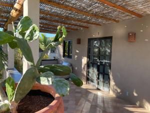 Casa Pure Baja-Infinity Pool, Lush Garden Oasis