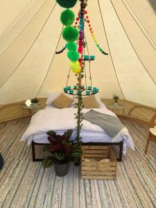 Bowhayes Farm - Camping & Glamping - Bell Tents - Cider Orchard