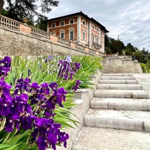 Villa Pasqui 1914 e Limonaia