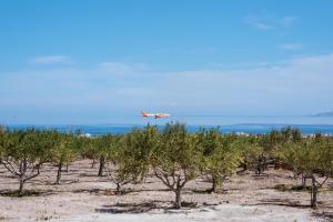 Zaitun Luxury Suites