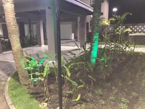 Apartamento Martim Praia Club Martim de Sá Caragua