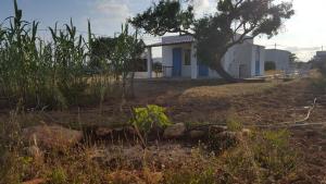 CASA PATY, Estudio rural. Sant Ferran FORMENTERA