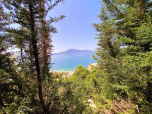 Ramos Green Beachside Retreat - Cozy 2 Bedroom Home