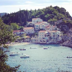 Luxury Apartment Przno Milocer