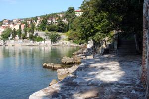Apartments with a parking space Mucici, Opatija - 21222