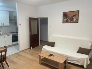 Apartments with a parking space Mucici, Opatija - 21222