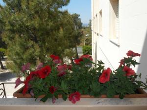 Sacro Cuore Opera Don Guanella