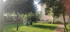 Coral Shelters Kochadai