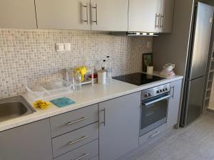 Appartment near Center