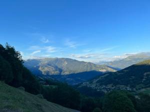 Chalets Chalet de 4 chambres avec jardin amenage a Les Avanchers Valmorel a 7 km des pistes : photos des chambres