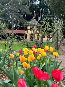 Le Parc du Séquoia & SPA proche Colmar et Riquewihr - 伊亚厄塞尔恩