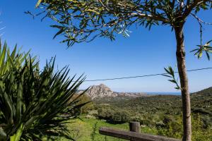 Hotels Relais de Saleccia : photos des chambres