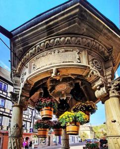 Appartements L'Appar'T - Centre historique de Obernai : photos des chambres