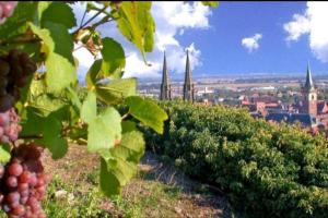 Appartements L'Appar'T - Centre historique de Obernai : photos des chambres