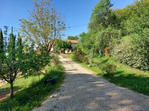 Maisons de vacances Gite Le Piboul : photos des chambres