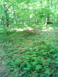 Appartementt à louer à Rennes