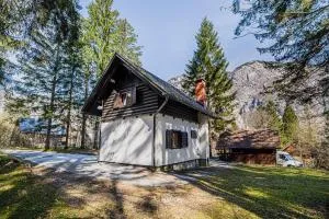 Holiday Home Kozorog - 博希尼