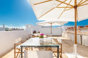 Terra Allisti by BarbarHouse